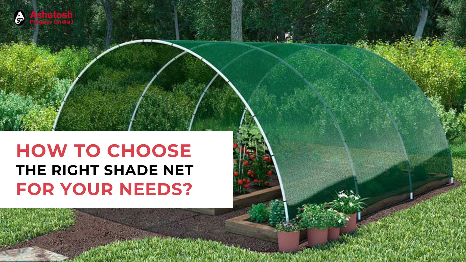 How to Choose the Right Shade Net for Your Needs?