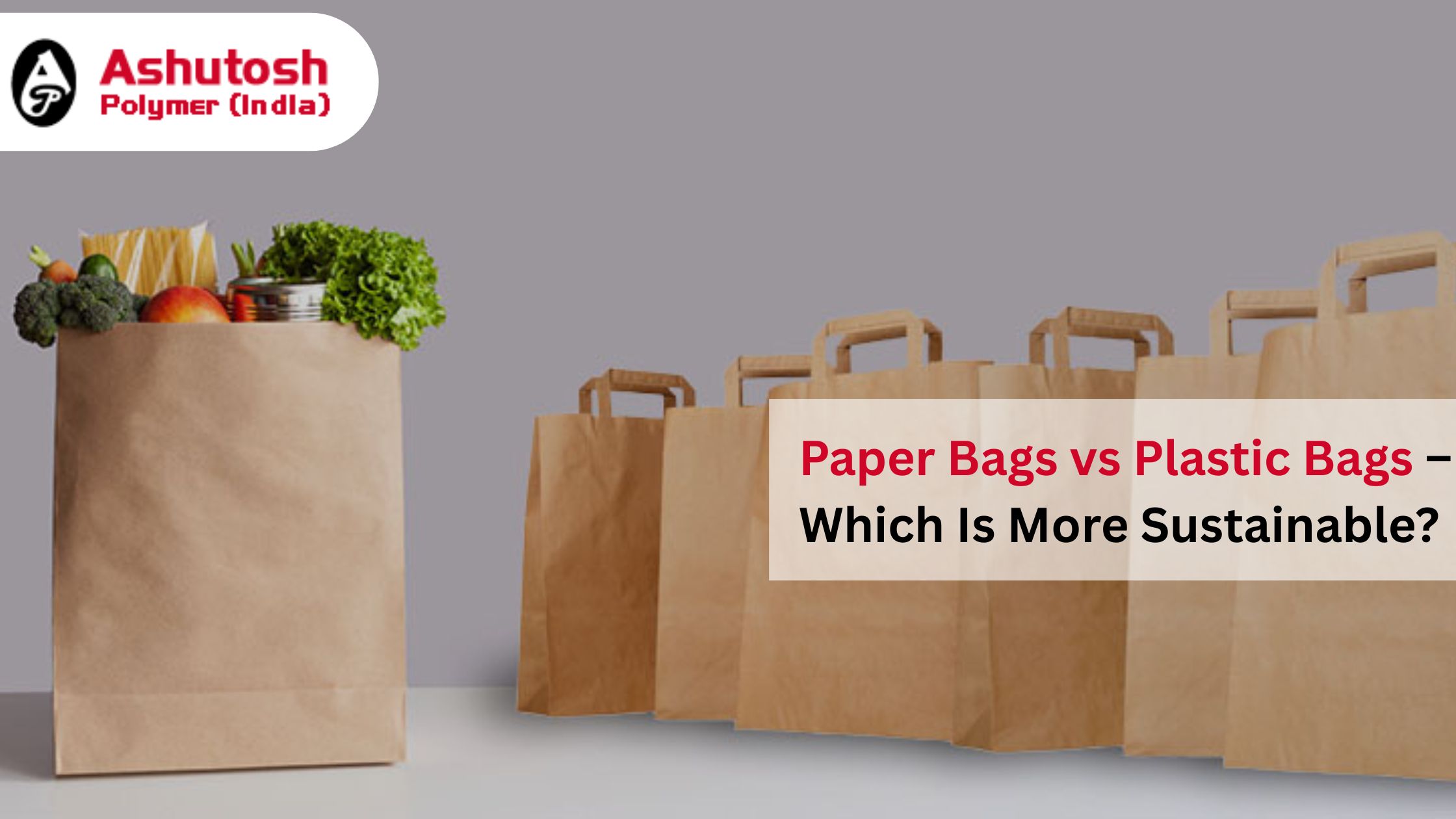 Paper Bags vs Plastic Bags – Which Is More Sustainable?