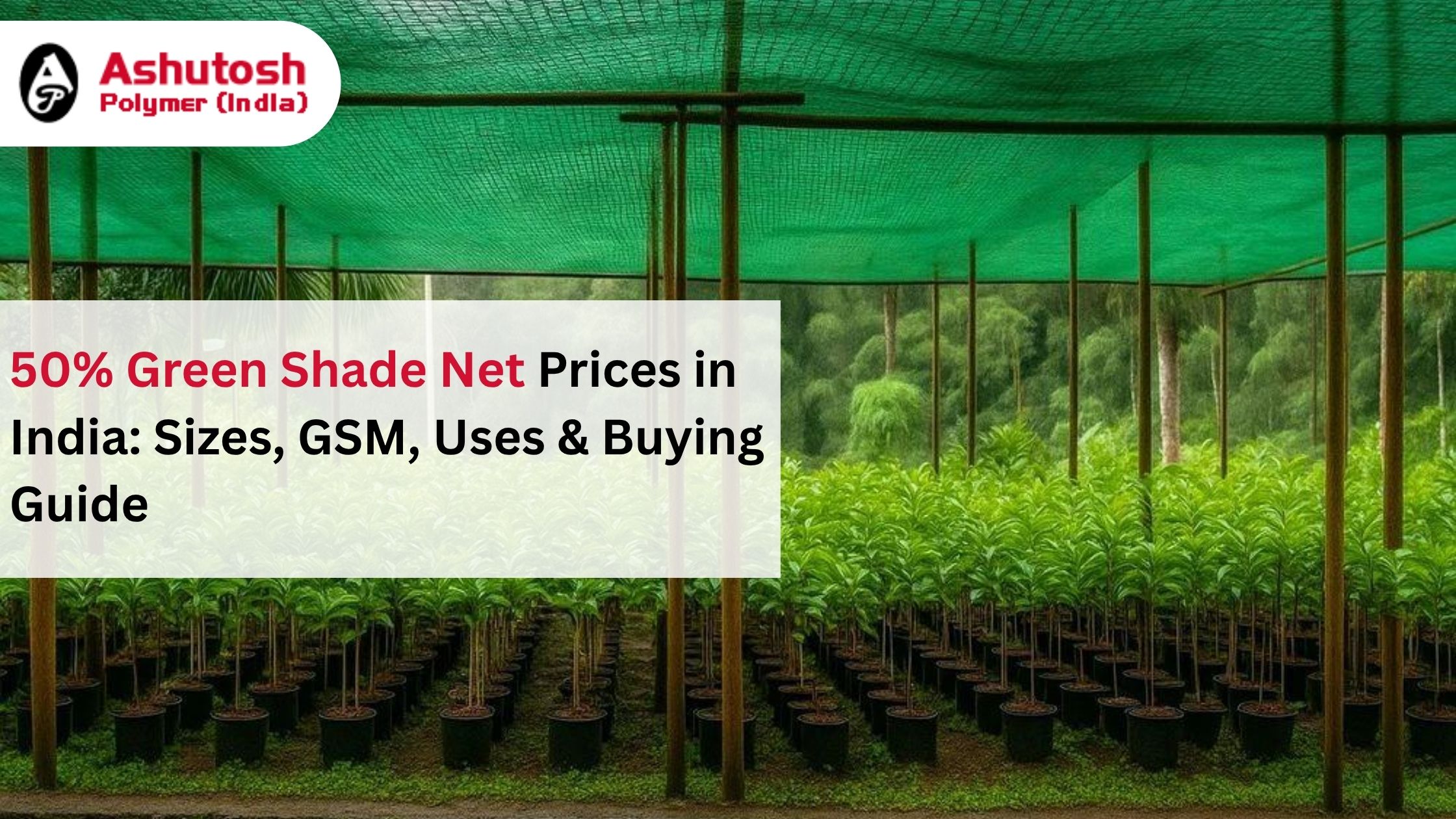 50% Green Shade Net Prices in India: Sizes, GSM, Uses & Buying Guide